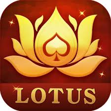 rummy meet all app download